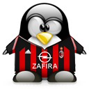 Penguin pingouin pinguino 884